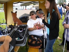 HA2011_ 36