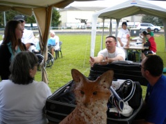 HA2011_ 40