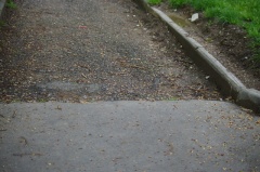 IMGP0423
